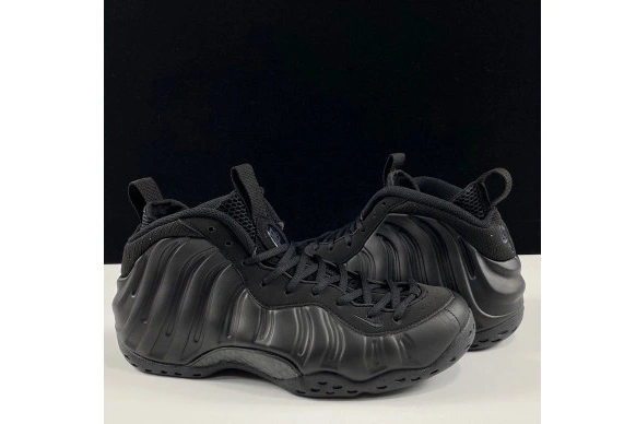 Air One Nike 314996-001 Foamposite Anthracite 0313